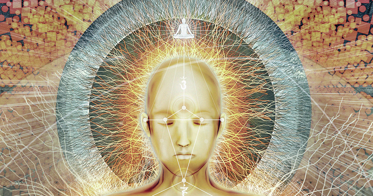 The Mind’s Journey: Exploring the Evolutionary Path of Consciousness