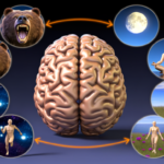 Brain and Behavior - The Neurobiology of Emotion and Stress