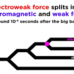 Pictorial image using a horizontal linier tree representing the separating of the fundamental forces from the Unified field at the time of the Big Bang