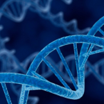 Rendition of DNA in blue. If we have discovered DNA can we discover what the science of consciousness is?