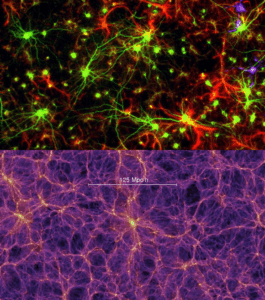 Beyond the Kardashev Scale: Consciousness, Cosmic Life, and the Limits of a Materialist Vision
