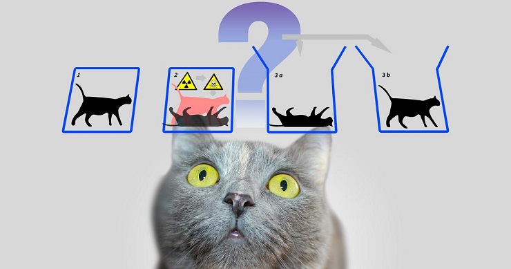 Will The Real Schrodinger’s Cat Please Stand Up – Hackaday