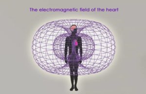 Electromagnetic lines imaged traveling through men’s heart